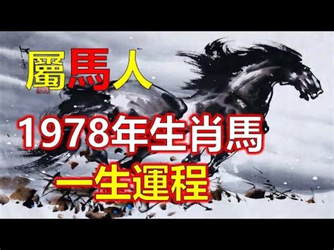 1978屬馬五行|78馬年生人：五行特質